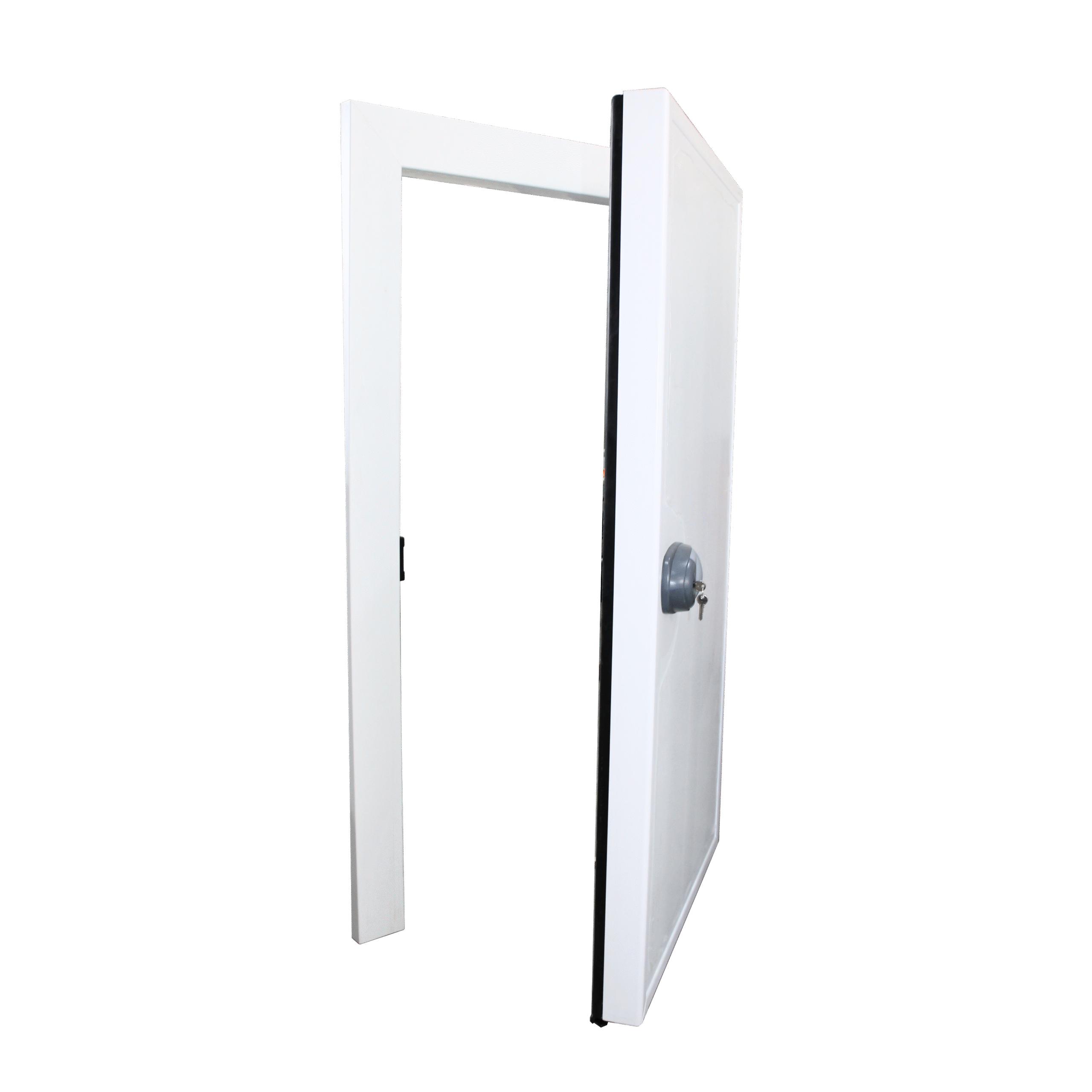 Puerta Abatible para Cámara fría - Imagen 2