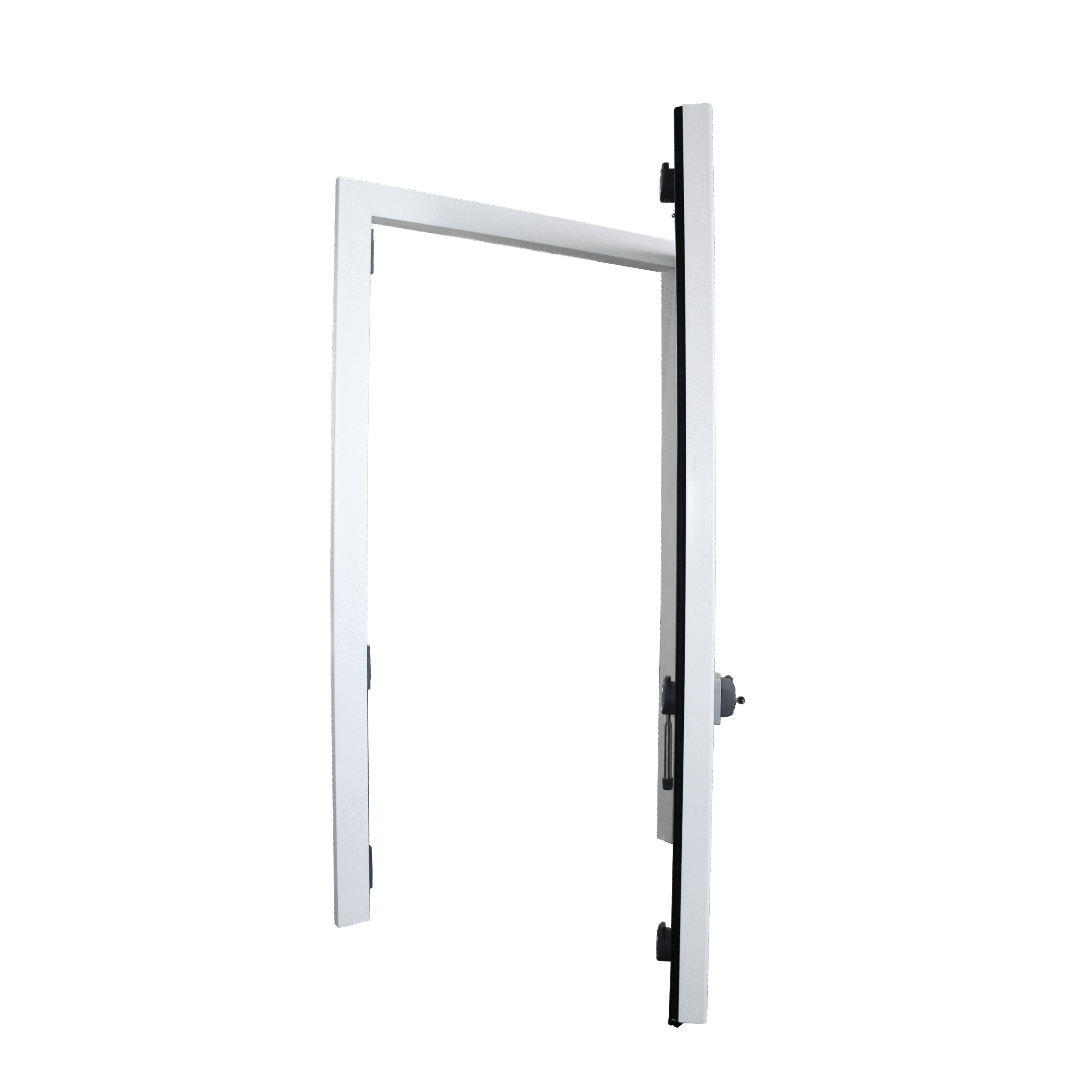 Puerta Abatible para Cámara fría - Imagen 3